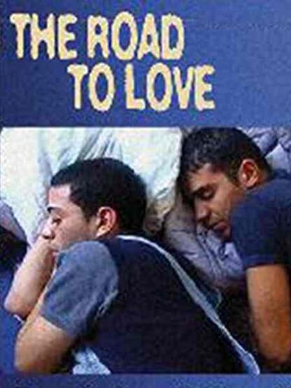The Road to Love (2001) with English Subtitles on DVD - Image 5