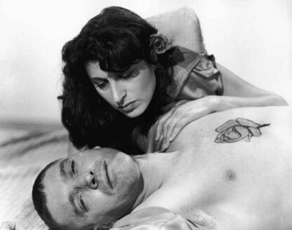 The Rose Tattoo (1955) Starring Anna Magnani on DVD