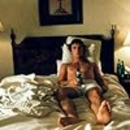 The Rules of Attraction (2002) Starring James Van Der Beek on DVD - Image 2