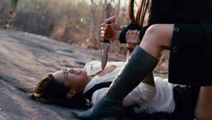 The Sanctuary (2009) with English Subtitles on DVD - Image 3