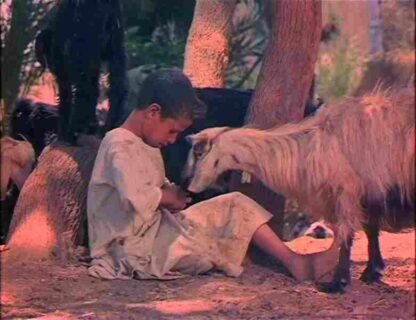 The Sandwich (1975) with English Subtitles on DVD