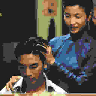 The Scent of Green Papaya (1993) with English Subtitles on DVD