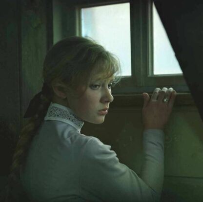 The Seagull (1972) with English Subtitles on DVD - Image 3