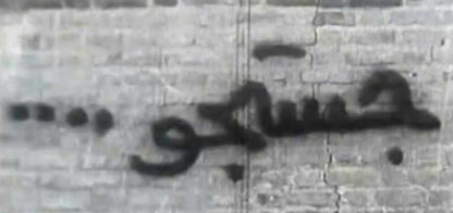 The Search (1980) with English Subtitles on DVD - Image 3