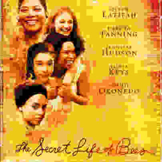 The Secret Life of Bees (2008) Starring Dakota Fanning on DVD
