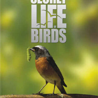 The Secret Life of Birds (2011) Starring  on DVD