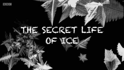 The Secret Life of Ice (2011) on DVD - Image 2