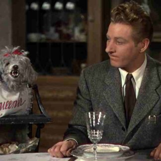 The Secret Life of Walter Mitty (1947) Starring Danny Kaye on DVD