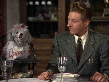 The Secret Life of Walter Mitty (1947) Starring Danny Kaye on DVD