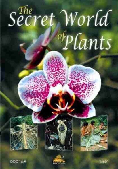 The Secret World of Plants (2003) with English Subtitles on DVD