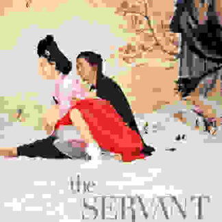 The Servant (2010) with English Subtitles on DVD