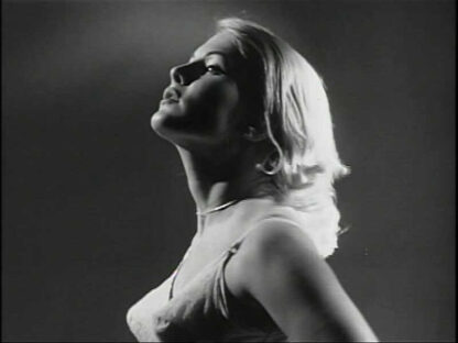 The Sexploiters (1965) Starring Norma Berke on DVD - Image 4