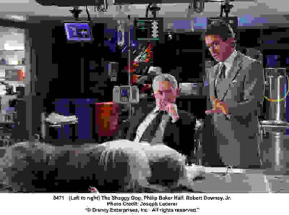 The Shaggy Dog (2006) Starring Tim Allen on DVD - Image 3