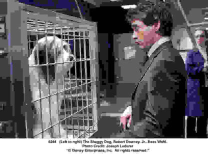 The Shaggy Dog (2006) Starring Tim Allen on DVD - Image 4