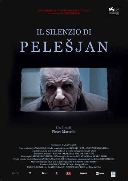 The Silence of Pelesjan (2011) with English Subtitles on DVD - Image 3
