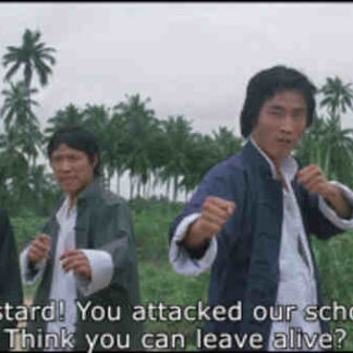 The Skyhawk (1974) with English Subtitles on DVD