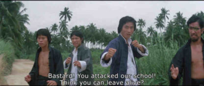 The Skyhawk (1974) with English Subtitles on DVD