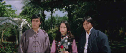The Skyhawk (1974) with English Subtitles on DVD - Image 4