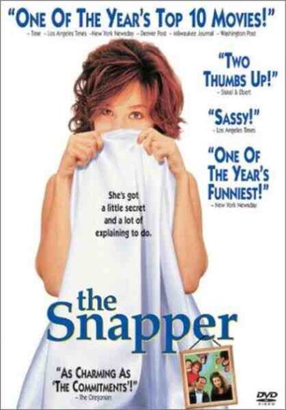 The Snapper (1993) Starring Colm Meaney on DVD