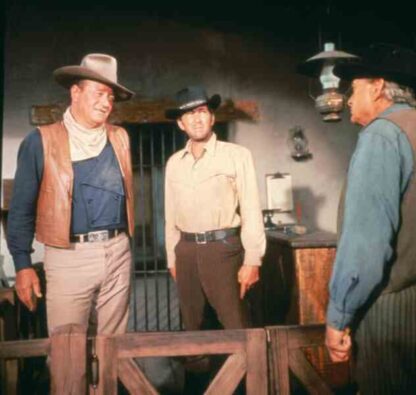 The Sons of Katie Elder (1965) Starring John Wayne on DVD - Image 2
