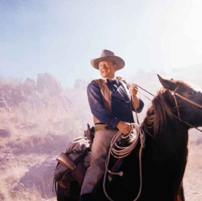 The Sons of Katie Elder (1965) Starring John Wayne on DVD - Image 4