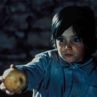 The Spirit of the Beehive (1973) with English Subtitles on DVD