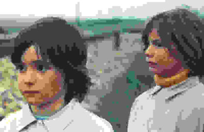 The Spirit of the Beehive (1973) with English Subtitles on DVD - Image 2