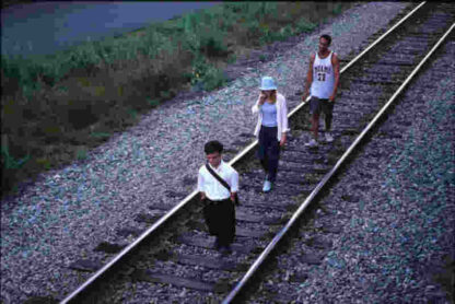 The Station Agent (2003) Starring Peter Dinklage on DVD - Image 2