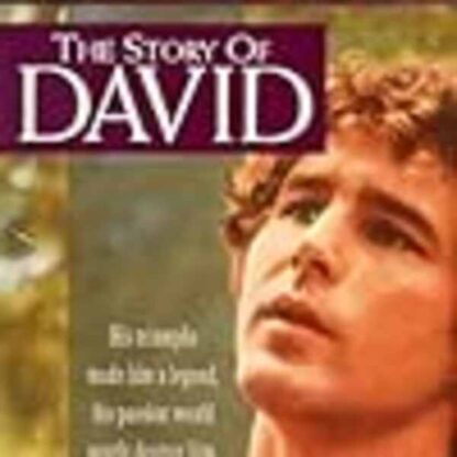 The Story of David (1976) Starring Timothy Bottoms on DVD - Image 2