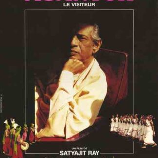 The Stranger (1991) with English Subtitles on DVD