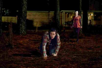 The Strangers (2008) Starring Scott Speedman on DVD - Image 2
