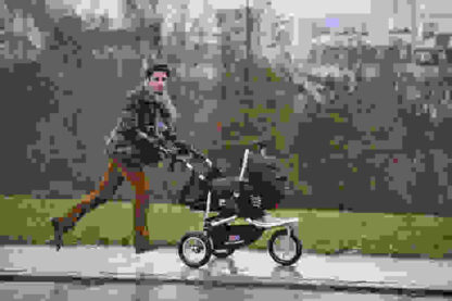 The Stroller Strategy (2012) with English Subtitles on DVD