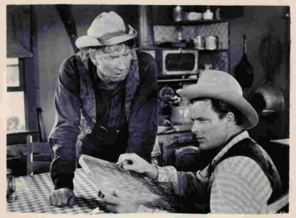 The Sundowners (1950) Starring Robert Preston on DVD - Image 3