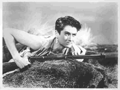 The Sundowners (1950) Starring Robert Preston on DVD - Image 4