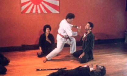 The Super Weapon (1976) Starring Ron Van Clief on DVD - Image 3