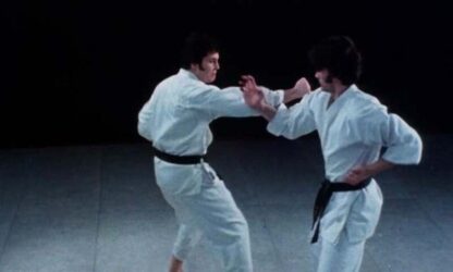 The Super Weapon (1976) Starring Ron Van Clief on DVD - Image 4