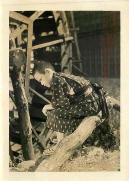 The Tale of Jiro (1955) with English Subtitles on DVD - Image 5