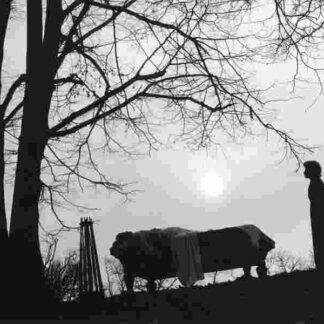 The Terrible Children (1950) with English Subtitles on DVD