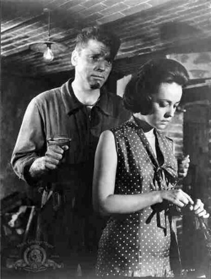 The Train (1964) Starring Burt Lancaster on DVD - Image 4