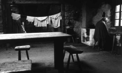 The Turin Horse (2011) with English Subtitles on DVD - Image 3