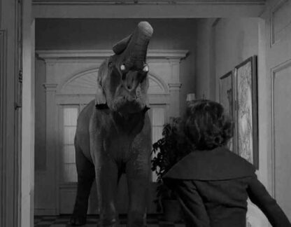 The Twilight Zone A World of His Own (1960) Starring Keenan Wynn on DVD - Image 4