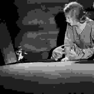 The Twilight Zone The Invaders (1961) Starring Agnes Moorehead on DVD