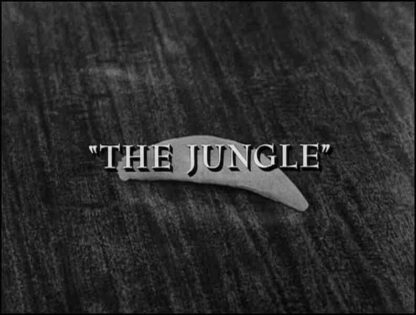 The Twilight Zone The Jungle (1961) Starring John Dehner on DVD - Image 3