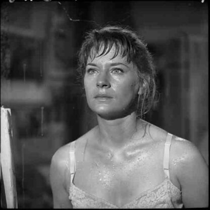 The Twilight Zone The Midnight Sun (1961) Starring Lois Nettleton on DVD - Image 3