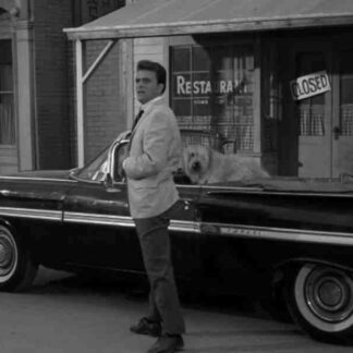 The Twilight Zone Valley of the Shadow (1963) Starring David Opatoshu on DVD