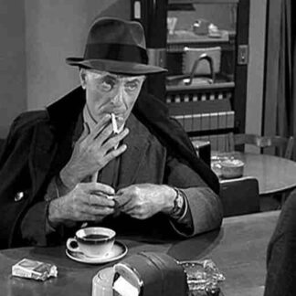 The Twilight Zone Will the Real Martian Please Stand Up? (1961) Starring John Hoyt on DVD