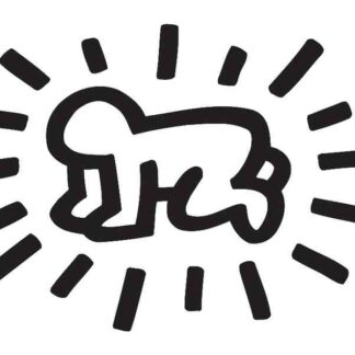 The Universe of Keith Haring (2008) Starring Fab 5 Freddy on DVD