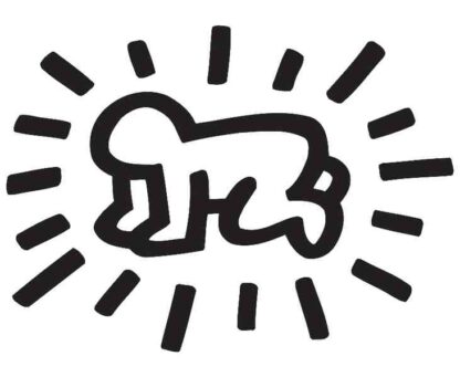 The Universe of Keith Haring (2008) Starring Fab 5 Freddy on DVD