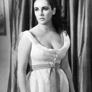 The V.I.P.s (1963) Starring Elizabeth Taylor on DVD