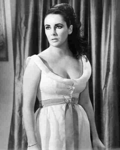 The V.I.P.s (1963) Starring Elizabeth Taylor on DVD